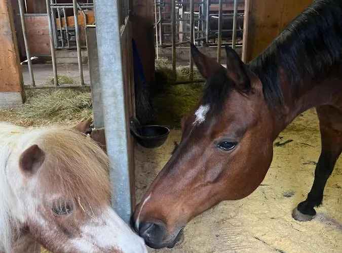 Bauernhof Lehengut Pfarrwerfen