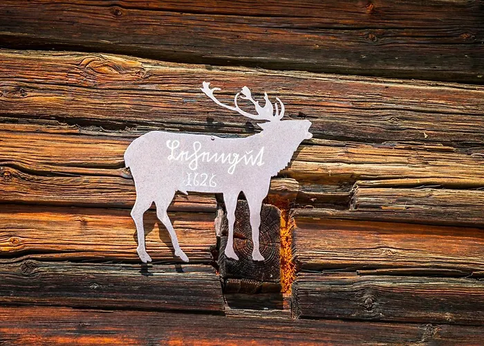 Bauernhof Lehengut Сasa de vacaciones Pfarrwerfen