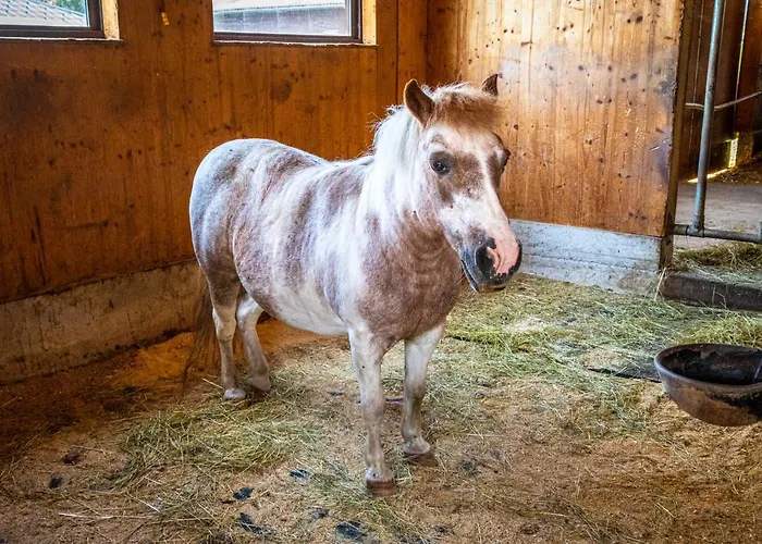 Bauernhof Lehengut Pfarrwerfen